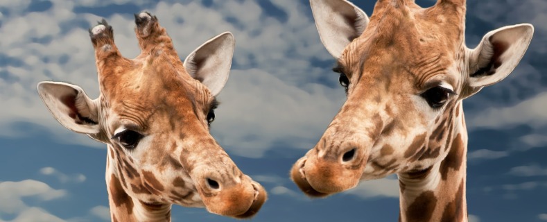 22.10, Willst Du recht haben... Reinwald