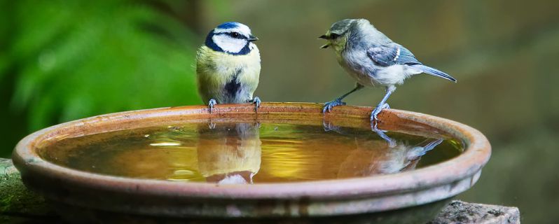 Rhetorik Wochenende (2)