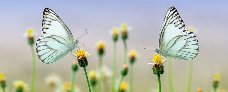 Willst Du Recht haben oder Zukunft gestalten (1)