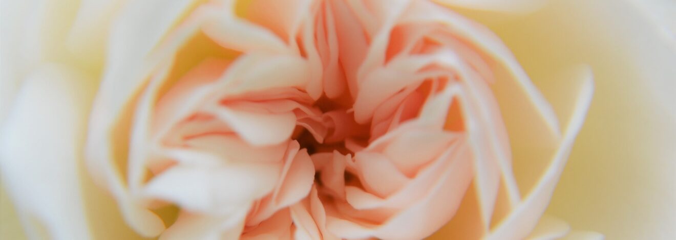 18.-20.3. Aufräumen