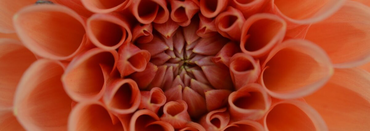 26.-28.2. Aufräumen Neisse