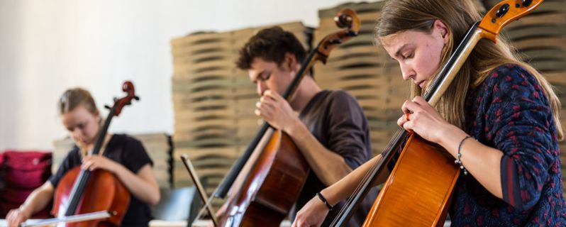 Cello (1)