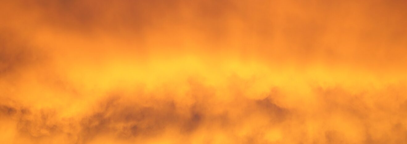 17.-18.12. Leben, liebe und Licht