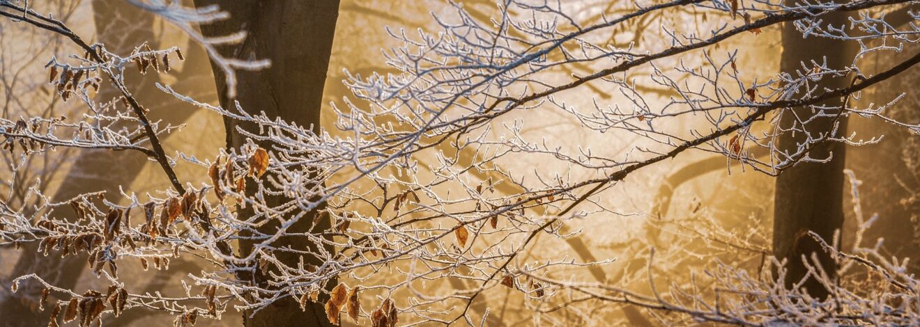 26.11. Naturgeschehen und...