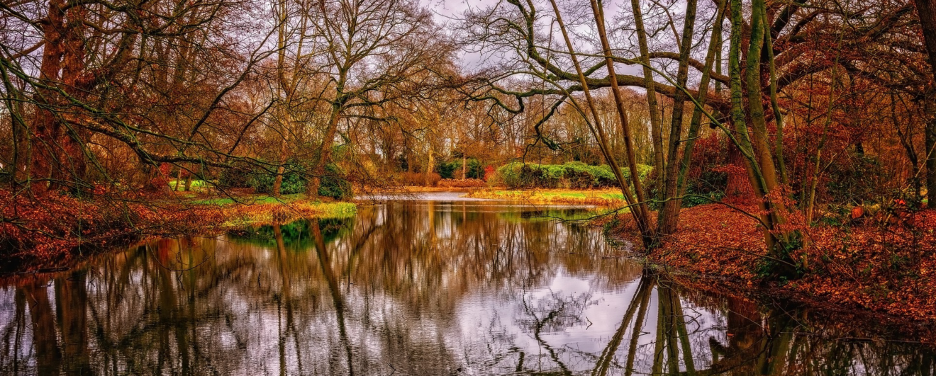 Wege zum Erleben der Christuselementarwesen 2