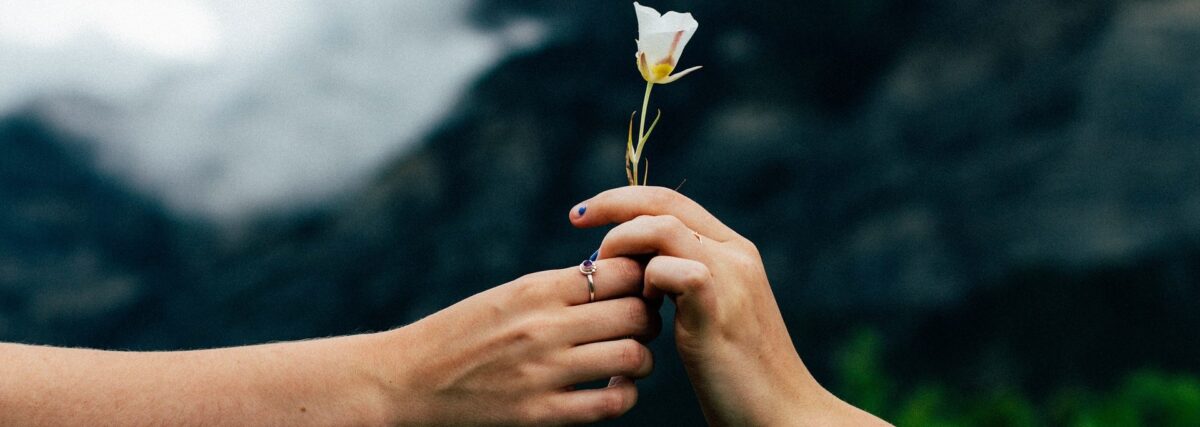 18.10.-Wege-zur-sozialen-Heilung-1200x427