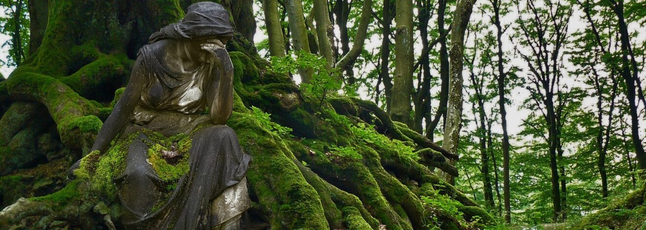 14.1. Was fühlst du in Bezug zur Klimakrise