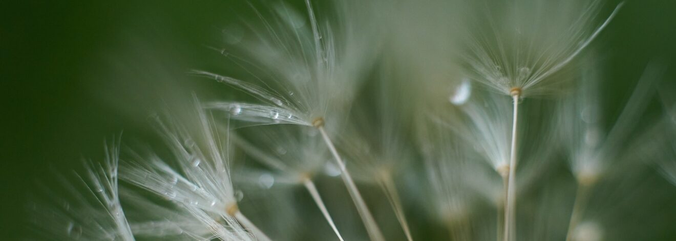 10.6. Volker Fintelmann