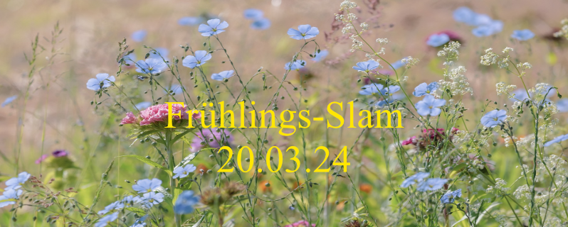FrühlingsSlam Website Banner_1