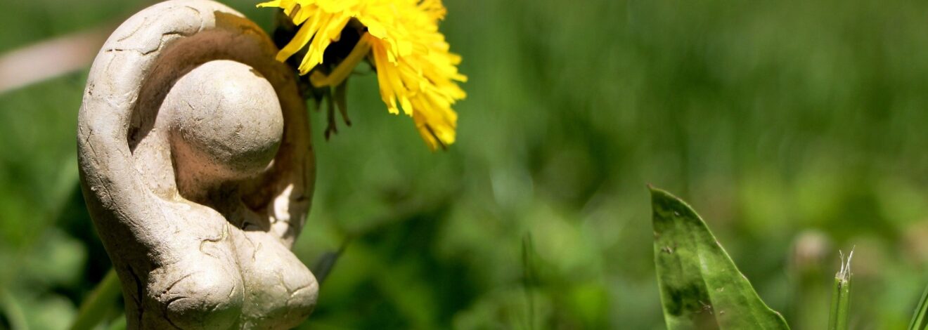 6.2. Lebe Deine weibliche