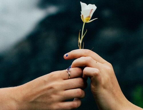 Gabriela Reinwald – Willst Du recht haben oder Zukunft gestalten? Freitag, 27. März / 19:30 – 22:00