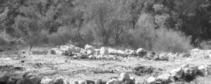Sawaed El-Homeira