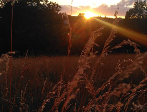 Abend für den Frieden – die Kraft des Dennoch Donnerstag, am 23.4.