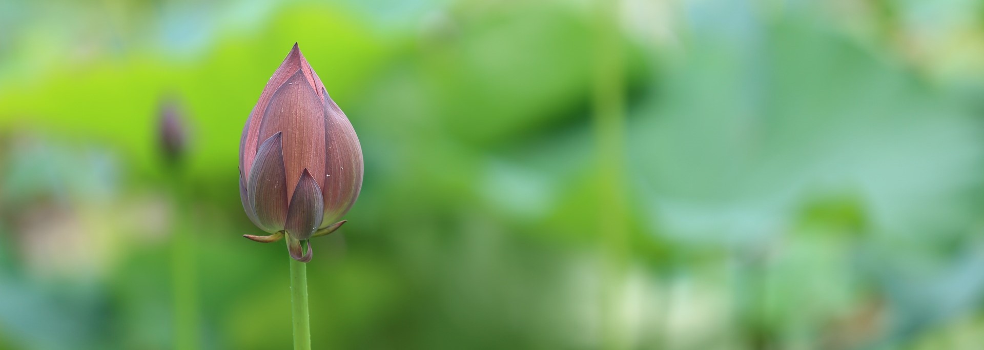 20-03-Wahrnehmen-von-awtherwelt