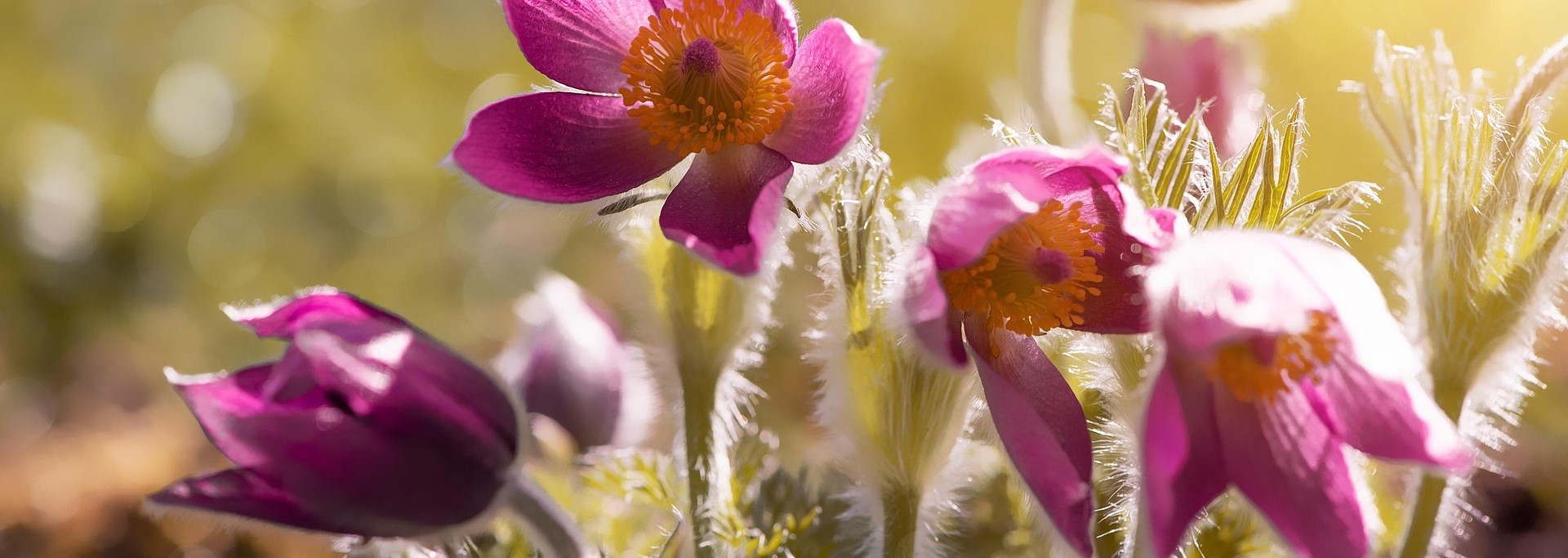 20-21-3-ueben-der-Imagination