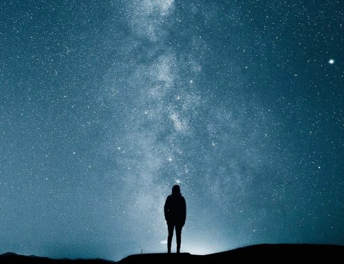 Petra Neisse – Gefühle als Kraftquelle Freitag, 24. April – Sonntag, 26. April