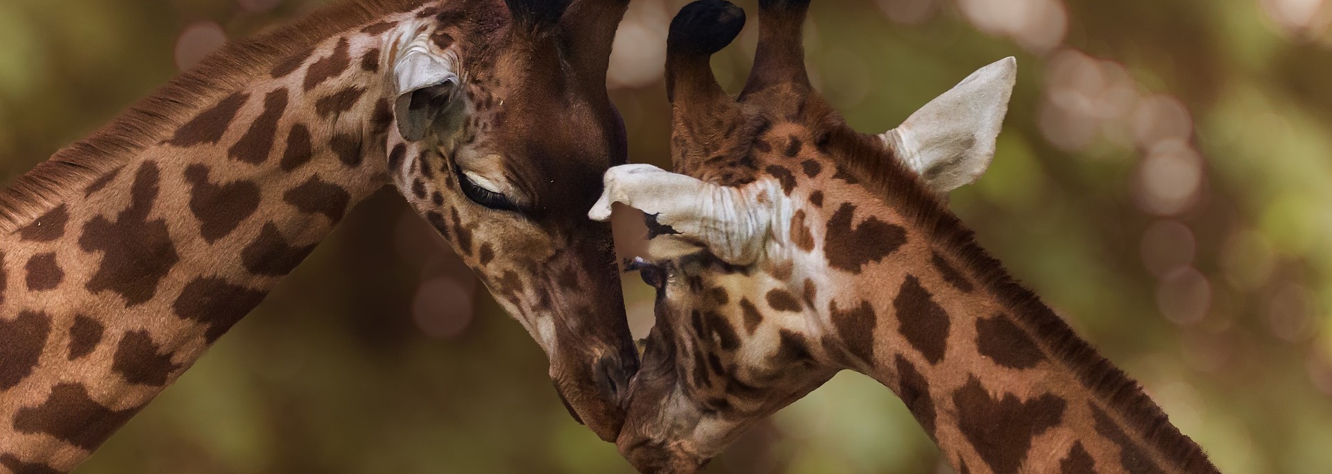 27-29-03-GewaltfreieKommunikation